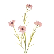 Pink Cornflower Stem - Thumb 1