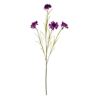 Purple Cornflower Stem - Thumb 2