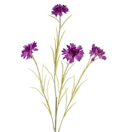 Purple Cornflower Stem - Thumb 1
