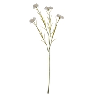 White Cornflower Stem - Thumb 2