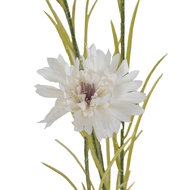 White Cornflower Stem - Thumb 3