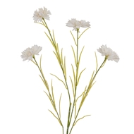 White Cornflower Stem - Thumb 1