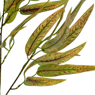 Variegated Long Leaf Eucalyptus Spray - Thumb 4