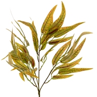 Variegated Long Leaf Eucalyptus Spray - Thumb 1