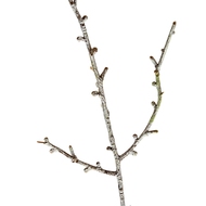 Snowy Winter Woodland Branch - Thumb 2