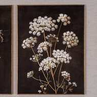 Flora & Fauna Collection Four Botanicals in Classic Frame - Thumb 7