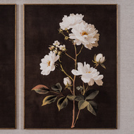 Flora & Fauna Collection Four Botanicals in Classic Frame - Thumb 8
