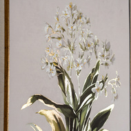 Flora & Fauna Collection White Wildflower on Linen in Frame - Thumb 5