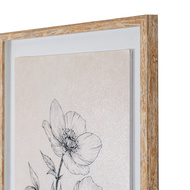 Sketchbook Hellebore in Frame - Thumb 3