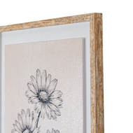 Sketchbook Daisies in Frame - Thumb 3