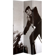Elvis Canvas Screen Special Offer Xx - Thumb 1